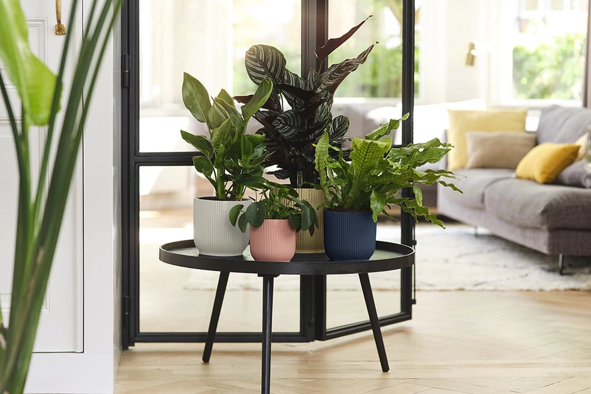 Elho Vibes Fold Rond 22 - Bloempot Voor Binnen - Ø 22.0 X H 20.2 Cm - Diepblauw 8 Elho Vibes Fold Rond 22 - Bloempot Voor Binnen - Ø 22.0 X H 20.2 Cm - Diepblauw - Afbeelding 8