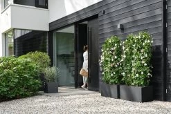 Elho Vivo Next Vierkant 30 - Plantenbak Voor Binnen & Buiten - Ø 29.5 X H 29.5 Cm - Zwart/Living Black 30 Elho Vivo Next Vierkant 30 - Plantenbak Voor Binnen & Buiten - Ø 29.5 X H 29.5 Cm - Zwart/Living Black -Tuin Kortingswinkel 1200x800 415