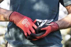 Felco 2 + GRATIS Felco Handschoenen In Cadeauverpakking -Tuin Kortingswinkel 1200x800 80