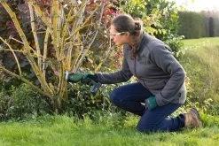 Bosch KEO 18 Accu Tuinzaagmachine - Snijdiameter Van 80 Mm - Met 18 V Accu En Lader 31 Bosch KEO 18 Accu Tuinzaagmachine - Snijdiameter Van 80 Mm - Met 18 V Accu En Lader -Tuin Kortingswinkel 1200x800 89