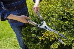 GARDENA - NatureCut - Heggenschaar - Robuust En Duurzaam 14 GARDENA - NatureCut - Heggenschaar - Robuust En Duurzaam -Tuin Kortingswinkel 1200x801 2