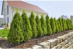 GARDENA Micro Drip System Startset L Druppelsysteem - 50 Meter 10 GARDENA Micro Drip System Startset L Druppelsysteem - 50 Meter -Tuin Kortingswinkel 1200x814 2