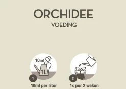 Pokon Orchidee Voeding - 250ml - Plantenvoeding - 10ml Per 1L Water -Tuin Kortingswinkel 1200x856 5