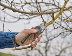 GARDENA - ExpertCut - Snoeischaar - 22 Diameter Tak -Tuin Kortingswinkel 1200x929