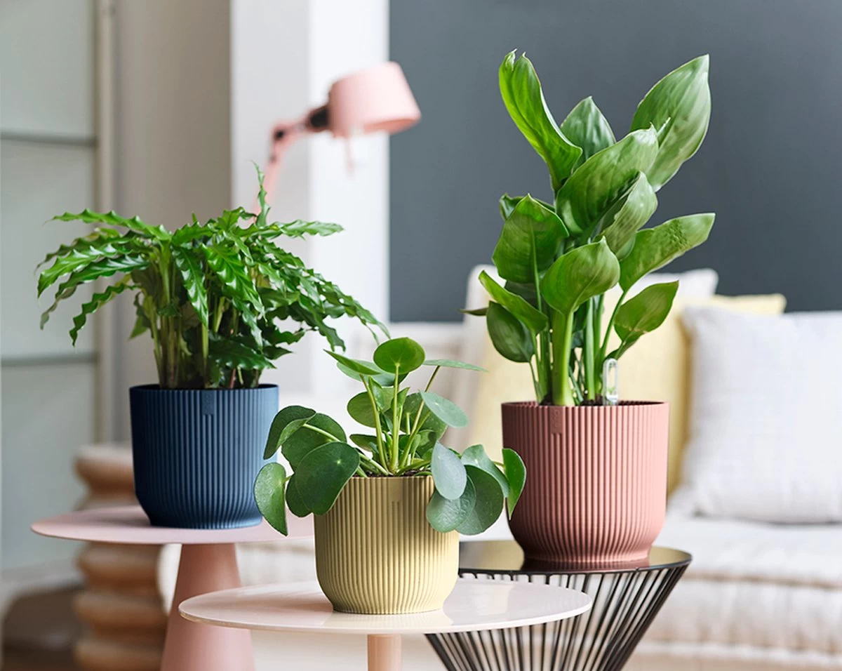 Elho Vibes Fold Rond 22 - Bloempot Voor Binnen - Ø 22.0 X H 20.2 Cm - Diepblauw 14 Elho Vibes Fold Rond 22 - Bloempot Voor Binnen - Ø 22.0 X H 20.2 Cm - Diepblauw - Afbeelding 14