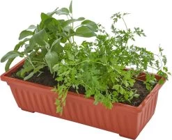 Tectake - Verticaal Plantenrek Met 4 Bakken - 403445 -Tuin Kortingswinkel 1200x975 4