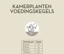 Pokon Kamerplanten Voedingskegels - 10st - Plantenvoeding - 6 Maanden Voeding -Tuin Kortingswinkel 1200x999 1