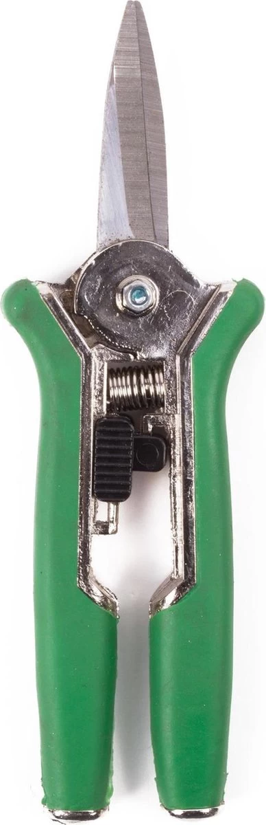 Bloemenschaar- Snoeischaar Recht Green Arrow 6238 1 Bloemenschaar- Snoeischaar Recht Green Arrow 6238