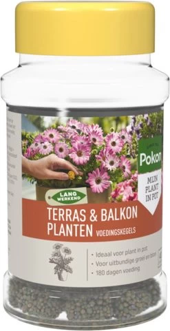 Pokon Voedingskegels Voor Terras- & Balkonplanten - 40 Stuks - 180 Dagen Voeding - Plantenvoeding -Tuin Kortingswinkel 616x1200 1
