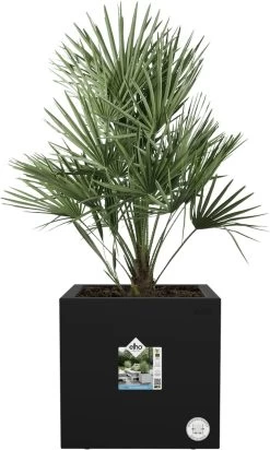 Elho Vivo Next Vierkant 30 - Plantenbak Voor Binnen & Buiten - Ø 29.5 X H 29.5 Cm - Zwart/Living Black 28 Elho Vivo Next Vierkant 30 - Plantenbak Voor Binnen & Buiten - Ø 29.5 X H 29.5 Cm - Zwart/Living Black -Tuin Kortingswinkel 720x1200 1