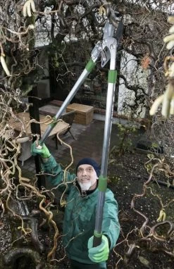 Telescopische Takkenschaar, 6-voudig -Tuin Kortingswinkel 775x1200