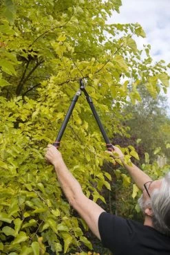 Kreator KRTGR4001 Takkenschaar - 650mm -Tuin Kortingswinkel 800x1200 14