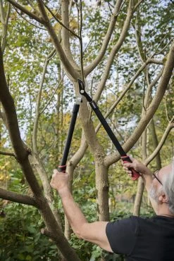 Kreator KRTGR4001 Takkenschaar - 650mm -Tuin Kortingswinkel 800x1200 15