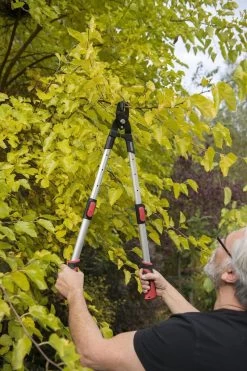 Kreator KRTGR4013 Telescopische Takkenschaar - 63-89 Cm Totale Lengte - . Ø39 Mm Knipdiameter -Tuin Kortingswinkel 800x1200 16