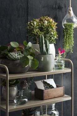 Mica Decorations Lester Bloempot - H31 X Ø33 Cm - Terracotta - Groen 15 Mica Decorations Lester Bloempot - H31 X Ø33 Cm - Terracotta - Groen -Tuin Kortingswinkel 800x1200 93