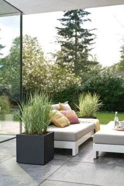 Elho Vivo Next Vierkant 30 - Plantenbak Voor Binnen & Buiten - Ø 29.5 X H 29.5 Cm - Zwart/Living Black 26 Elho Vivo Next Vierkant 30 - Plantenbak Voor Binnen & Buiten - Ø 29.5 X H 29.5 Cm - Zwart/Living Black -Tuin Kortingswinkel 800x1200 95