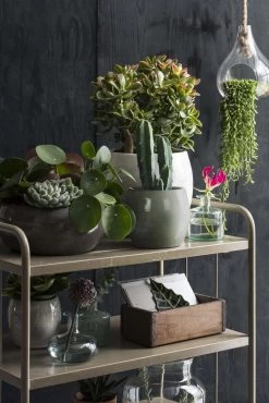 Mica Decorations Lester Bloempot - H31 X Ø33 Cm - Terracotta - Groen 18 Mica Decorations Lester Bloempot - H31 X Ø33 Cm - Terracotta - Groen -Tuin Kortingswinkel 801x1200 12