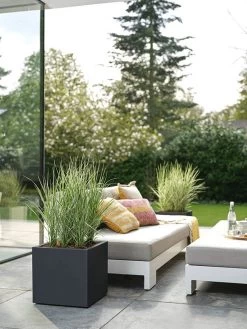 Elho Vivo Next Vierkant 30 - Plantenbak Voor Binnen & Buiten - Ø 29.5 X H 29.5 Cm - Zwart/Living Black 27 Elho Vivo Next Vierkant 30 - Plantenbak Voor Binnen & Buiten - Ø 29.5 X H 29.5 Cm - Zwart/Living Black -Tuin Kortingswinkel 900x1200 22