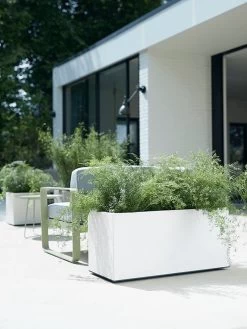 Elho Vivo Matt Finish Lang Wielen 90 - Grote Staande Plantenbak Voor Binnen & Buiten - Gemaakt Van Gereycled Plastic - L 39 X W 88 X H 41 Cm - Zwart 18 Elho Vivo Matt Finish Lang Wielen 90 - Grote Staande Plantenbak Voor Binnen & Buiten - Gemaakt Van Gereycled Plastic - L 39 X W 88 X H 41 Cm - Zwart -Tuin Kortingswinkel 900x1200 23