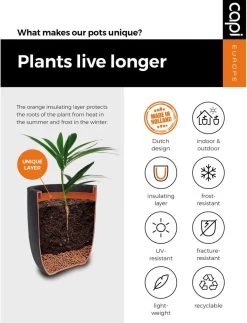 Capi Europe - Bloempot Vierkant Rib NL - 30x30x30 - Zwart - Voor Binnen En Buiten - KBLR902 -Tuin Kortingswinkel 917x1200