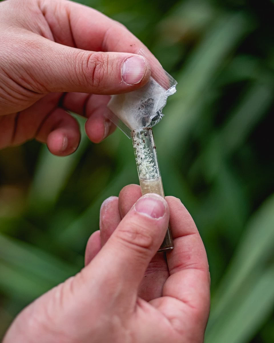 ECOstyle PH Bodemtest - Zuurtegraad Meter Voor Grond - Bepaal Kalk Behoefte Voor Tuin En Gazon - 8 Testen 4 ECOstyle PH Bodemtest - Zuurtegraad Meter Voor Grond - Bepaal Kalk Behoefte Voor Tuin En Gazon - 8 Testen - Afbeelding 4