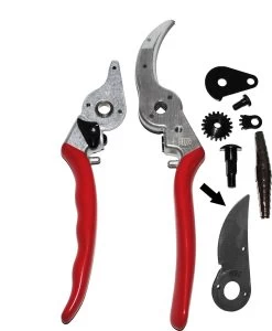 Felco 2 + GRATIS Felco Handschoenen In Cadeauverpakking -Tuin Kortingswinkel 987x1200